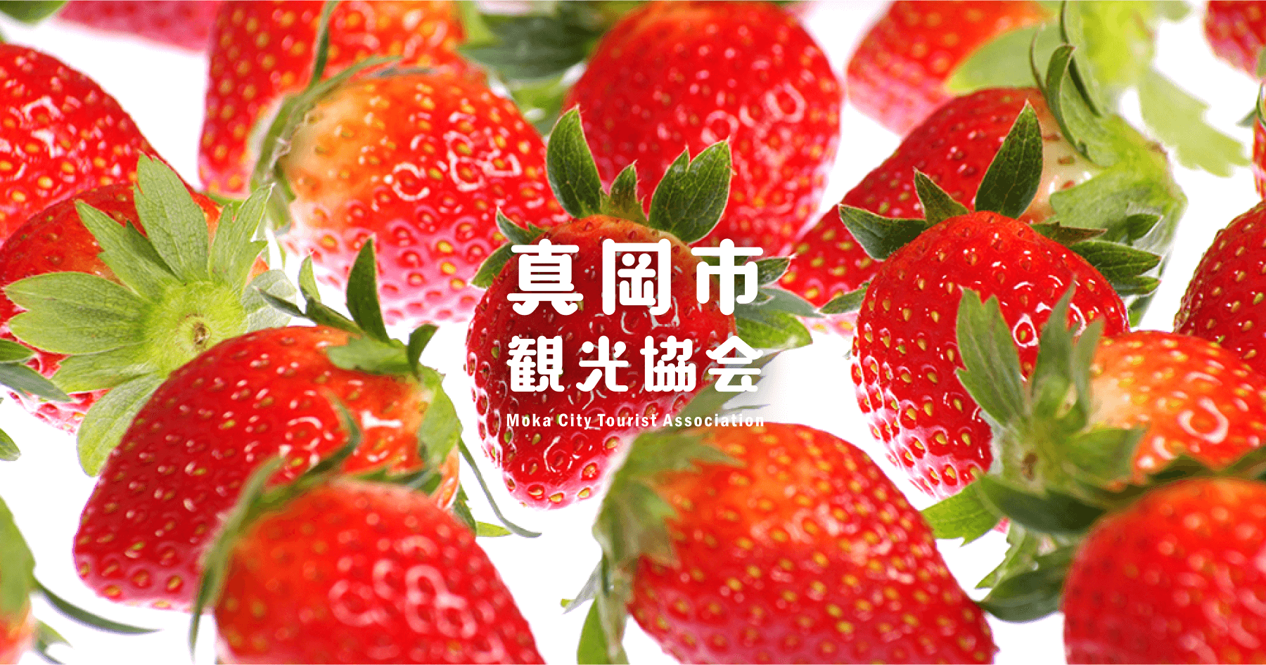 真岡市観光協会 Moka City Turist Associationの外観